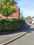 Trimming hedges